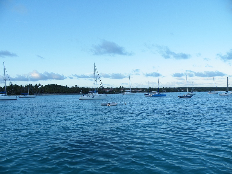DSCF7586.JPG
