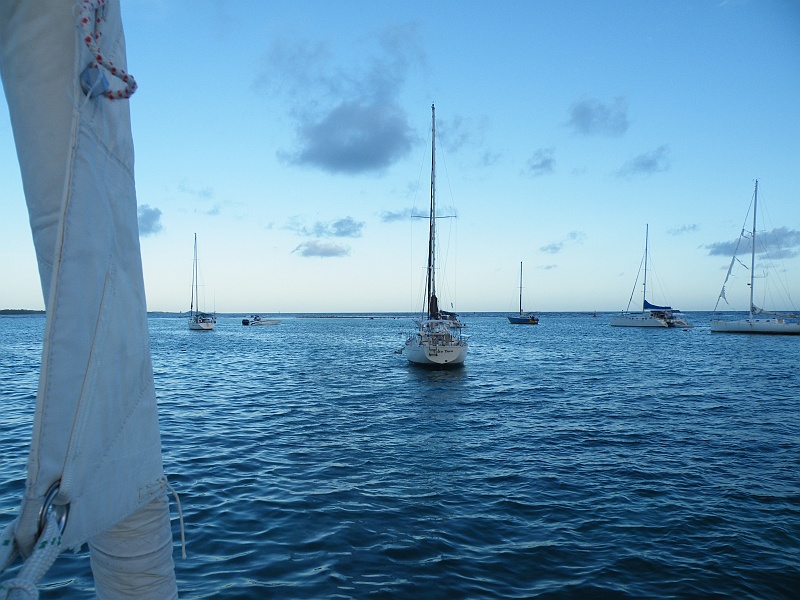 DSCF7587.JPG