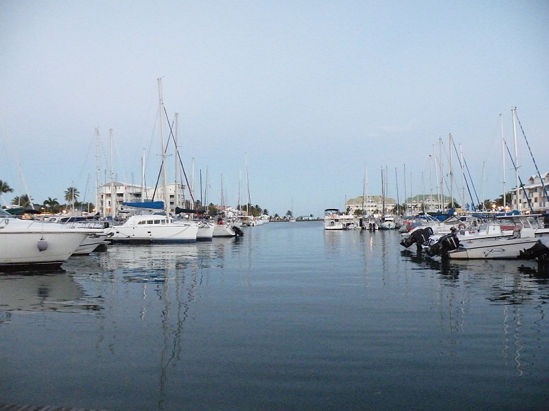 DSCF7599.JPG
