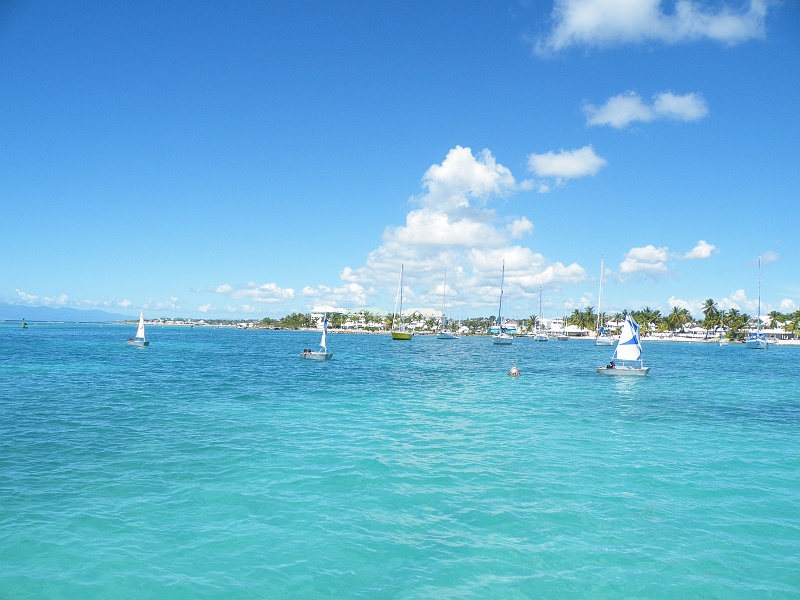 DSCF7613.JPG