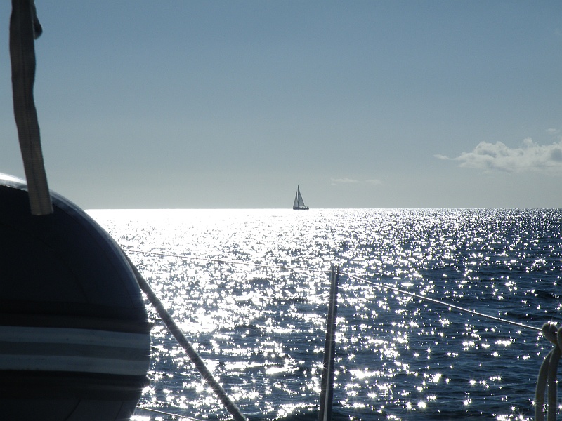 DSCF7648.JPG