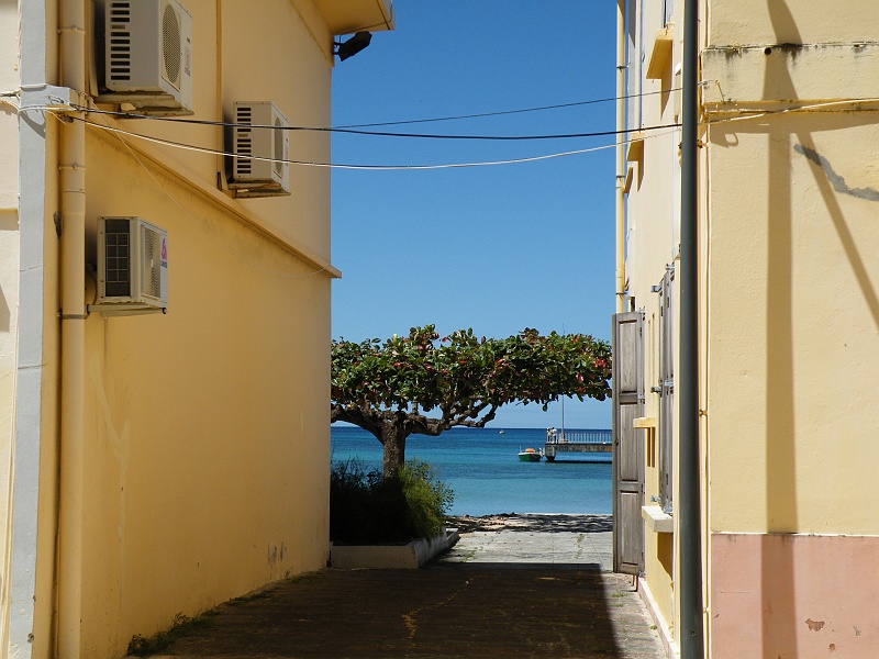 DSCF7685.JPG