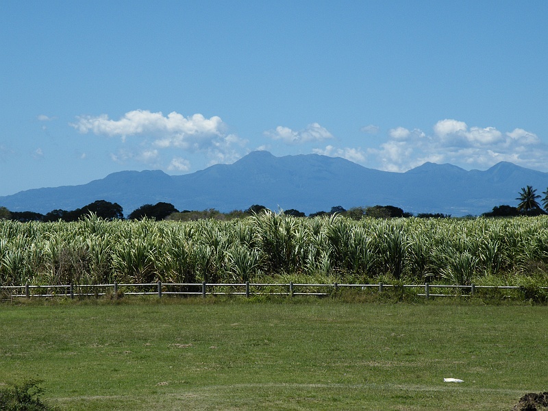 DSCF7713.JPG