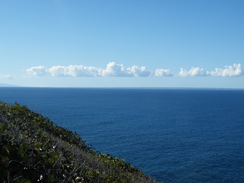 DSCF7750.JPG