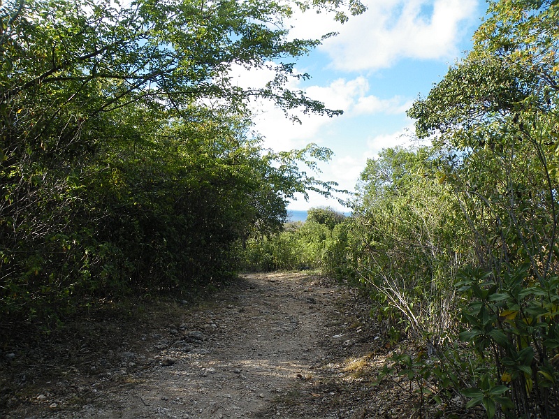 DSCF7760.JPG