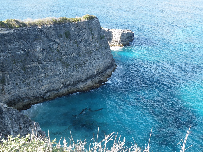 DSCF7761.JPG