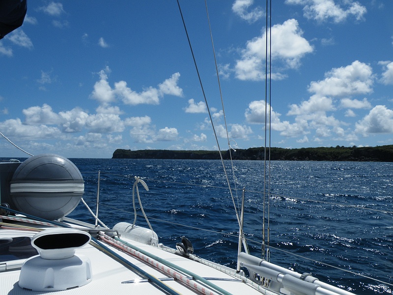 DSCF7800.JPG
