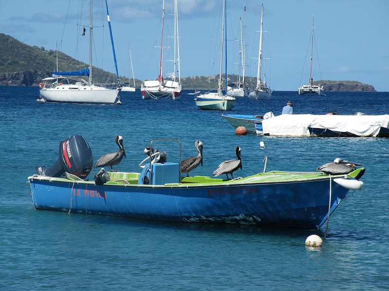 DSCF7871.JPG