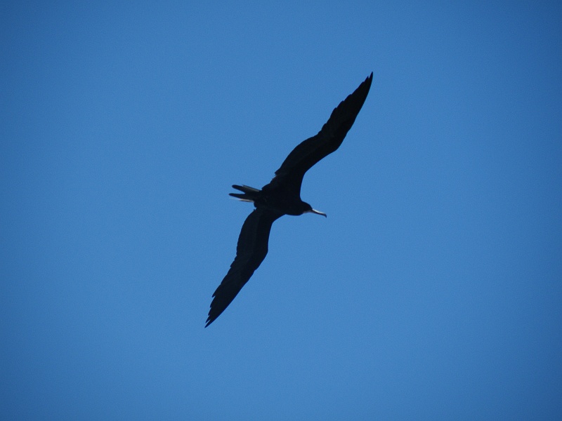 DSCF7877.JPG