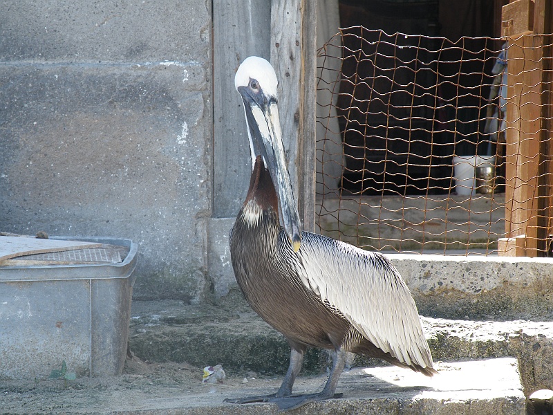 DSCF7895.JPG