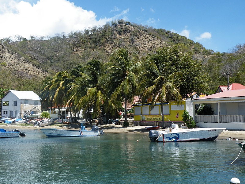 DSCF7914.JPG