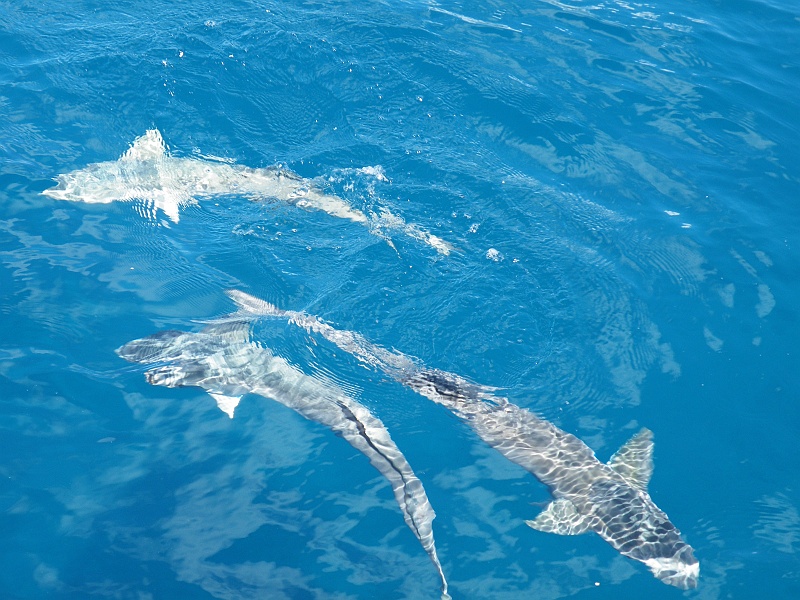 DSCF7977.JPG