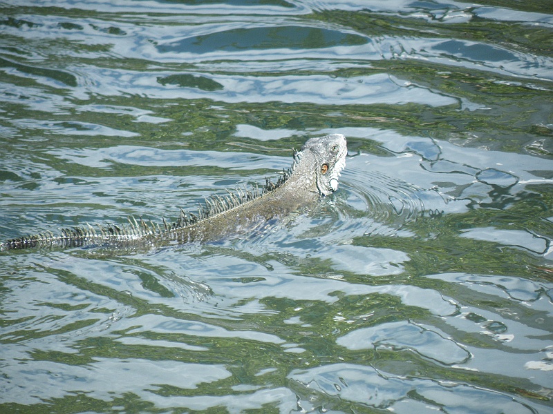 DSCF8096.JPG