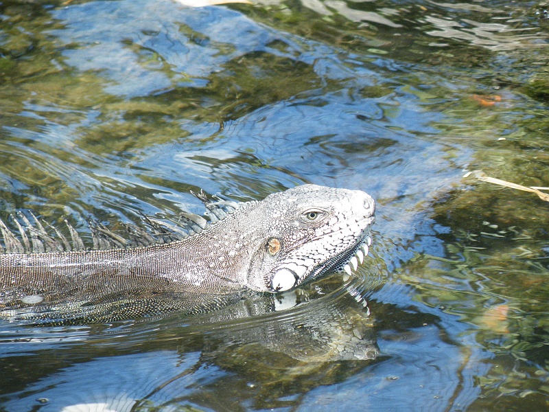 DSCF8097.JPG
