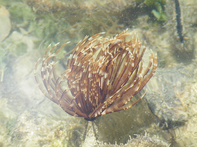 DSCF8113.JPG