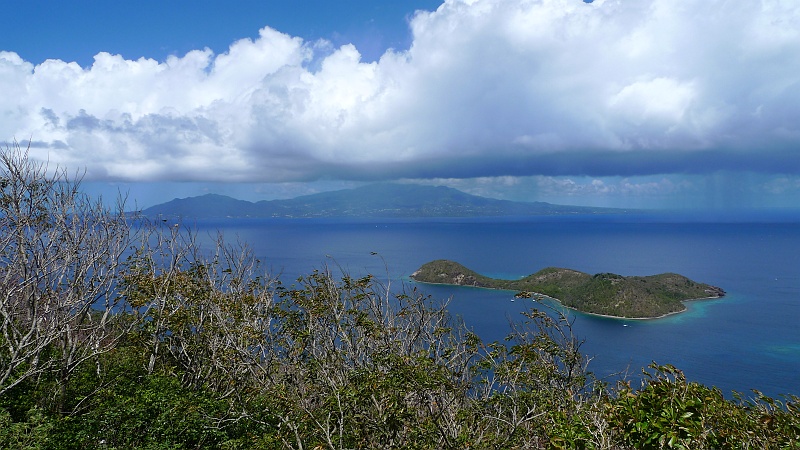 P1100556.JPG