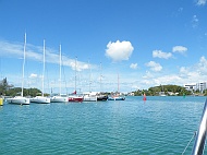 DSCF7536