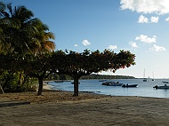 DSCF7769