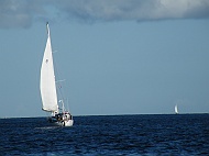 DSCF8030