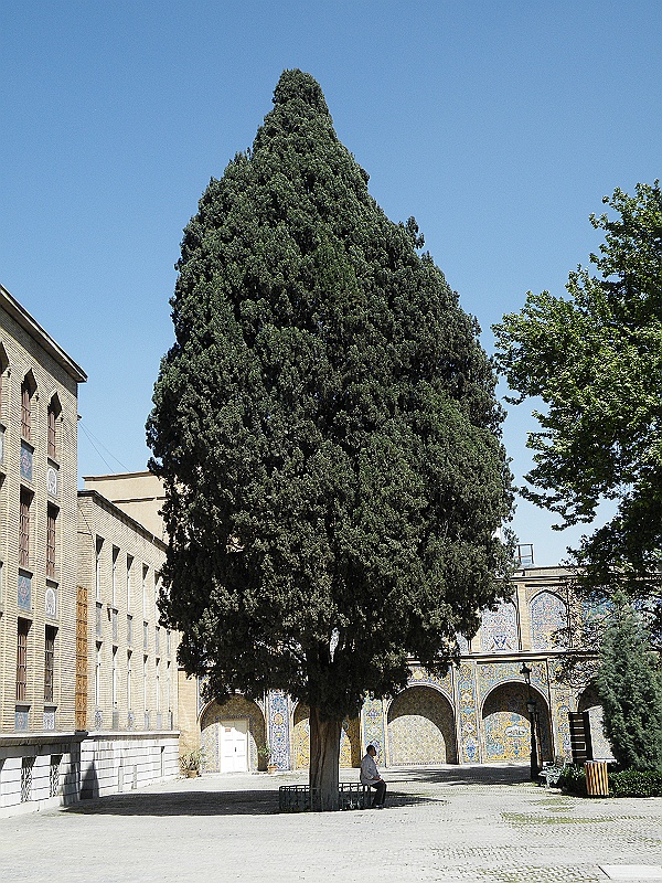 DSCF8222.JPG