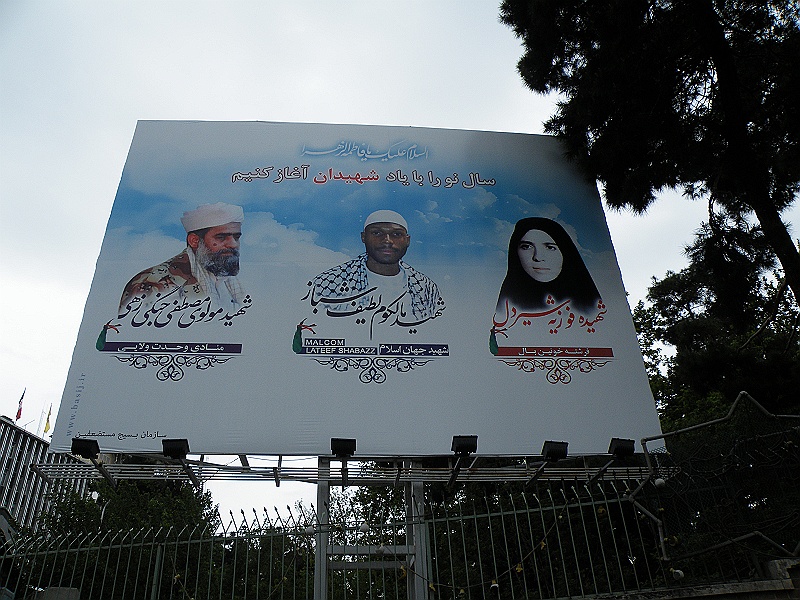 DSCF8264.JPG