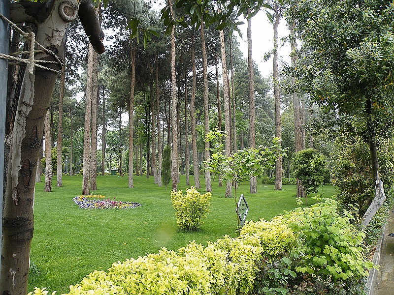 DSCF8414.JPG - Garden of Chehel Sotun Palace