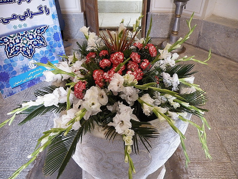 DSCF8516.JPG