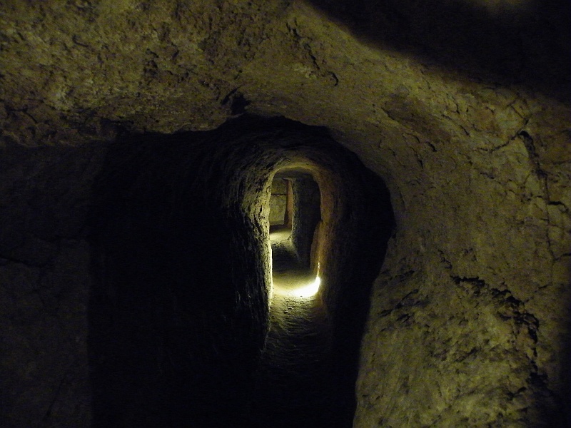 DSCF8720.JPG