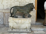 DSCF8220