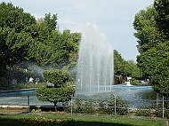 DSCF8454