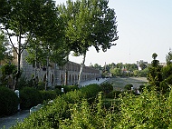 DSCF8480