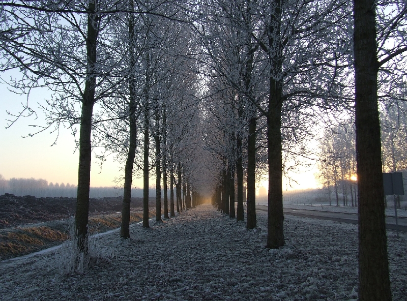 2007_1222_December0034.JPG - Winter Light