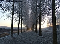 2007_1222_December0034