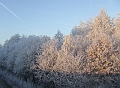 2007_1222_December0036