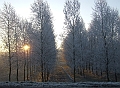 2007_1222_December0037