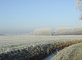 2007_1222_December0039