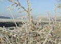 2007_1222_December0040