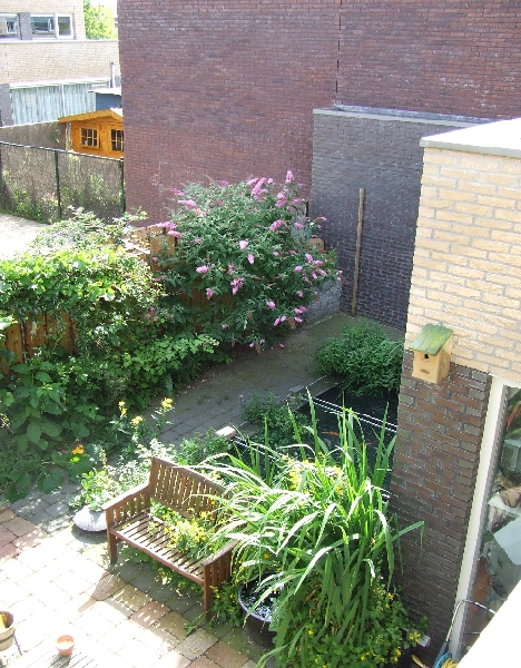 2009_0719_Juli_thuis0034.JPG - Backyard View part Two