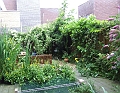 2009_0719_Juli_thuis0030