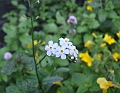 2009_0801_Augustus_thuis0025